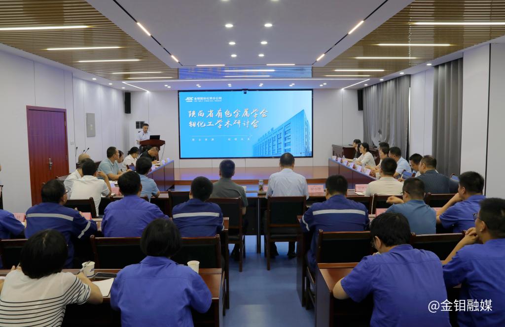 20250728-陕西省有色金属学会钼化工学术研讨会在金钼股份化学分公司召开 (4).jpg 20250728-陕西省有色金属学会钼化工学术研讨会在金钼股份化学分公司召开 (4).jpg
