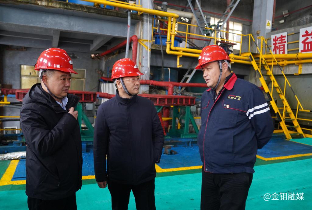 20231226-严平在五洲矿业调研时强调:坚持质量优先 效益第一 奋力实现倍增目标 (3).jpg