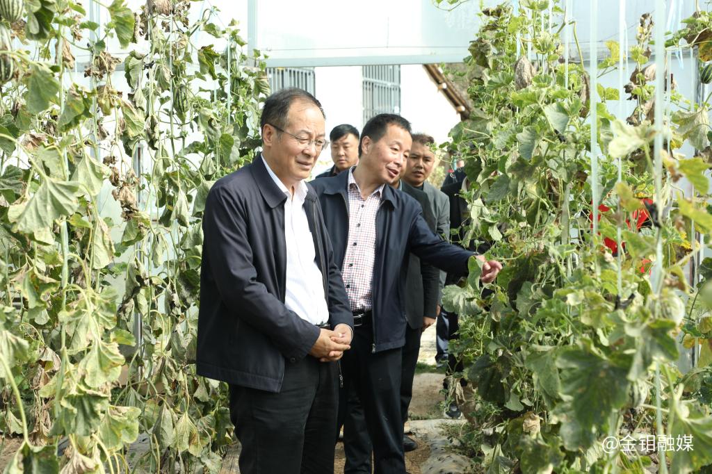 20241010-朱凌云深入东西坪村调研驻村帮扶工作并慰问困难群众 (1).JPG