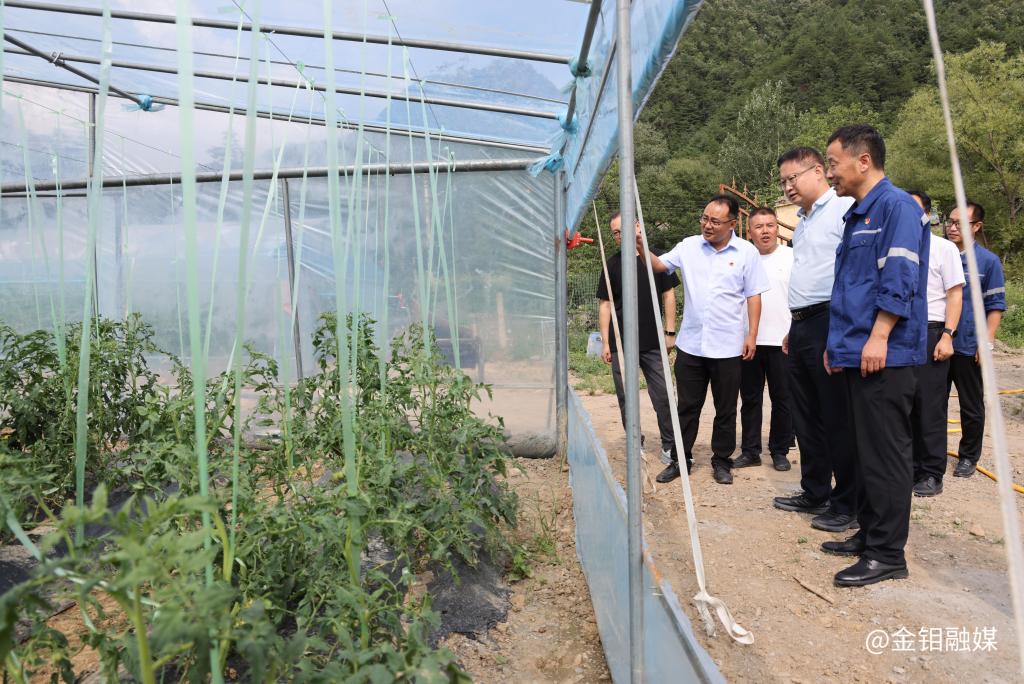 20250721-张保生赴定点帮扶村开展慰问调研 推动乡村产业提质增效 (1).JPG