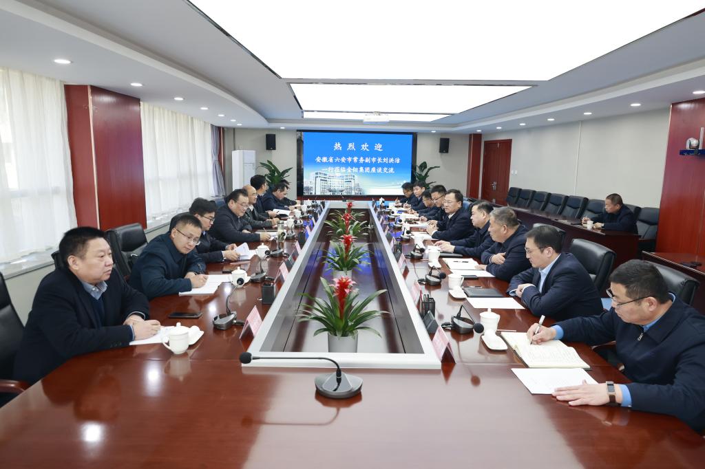 20240312-六安市常务副市长刘洪洁到公司考察交流 (1).JPG
