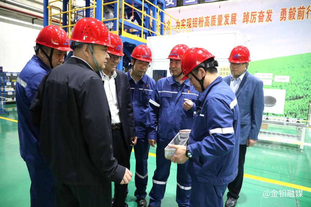 20240416-陈超一行到钼金属工业园调研5