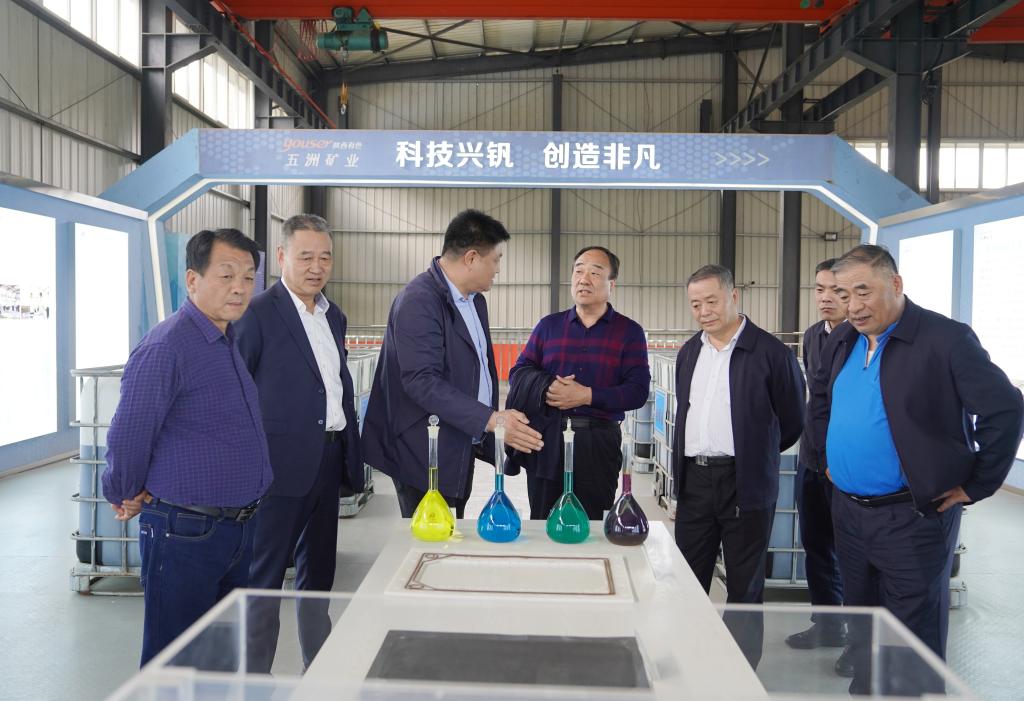 20250409-陕西有色金属集团外部董事一行到五洲矿业公司调研 (2).jpg