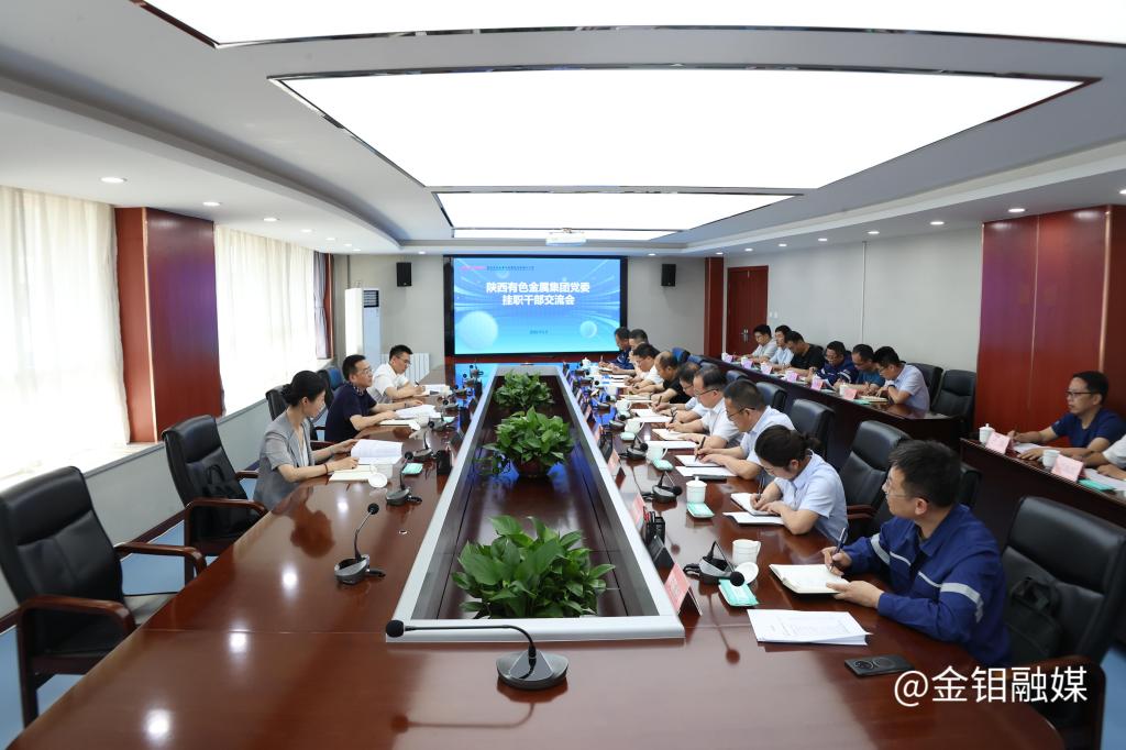 20250520-挂职干部交流会 (1).JPG