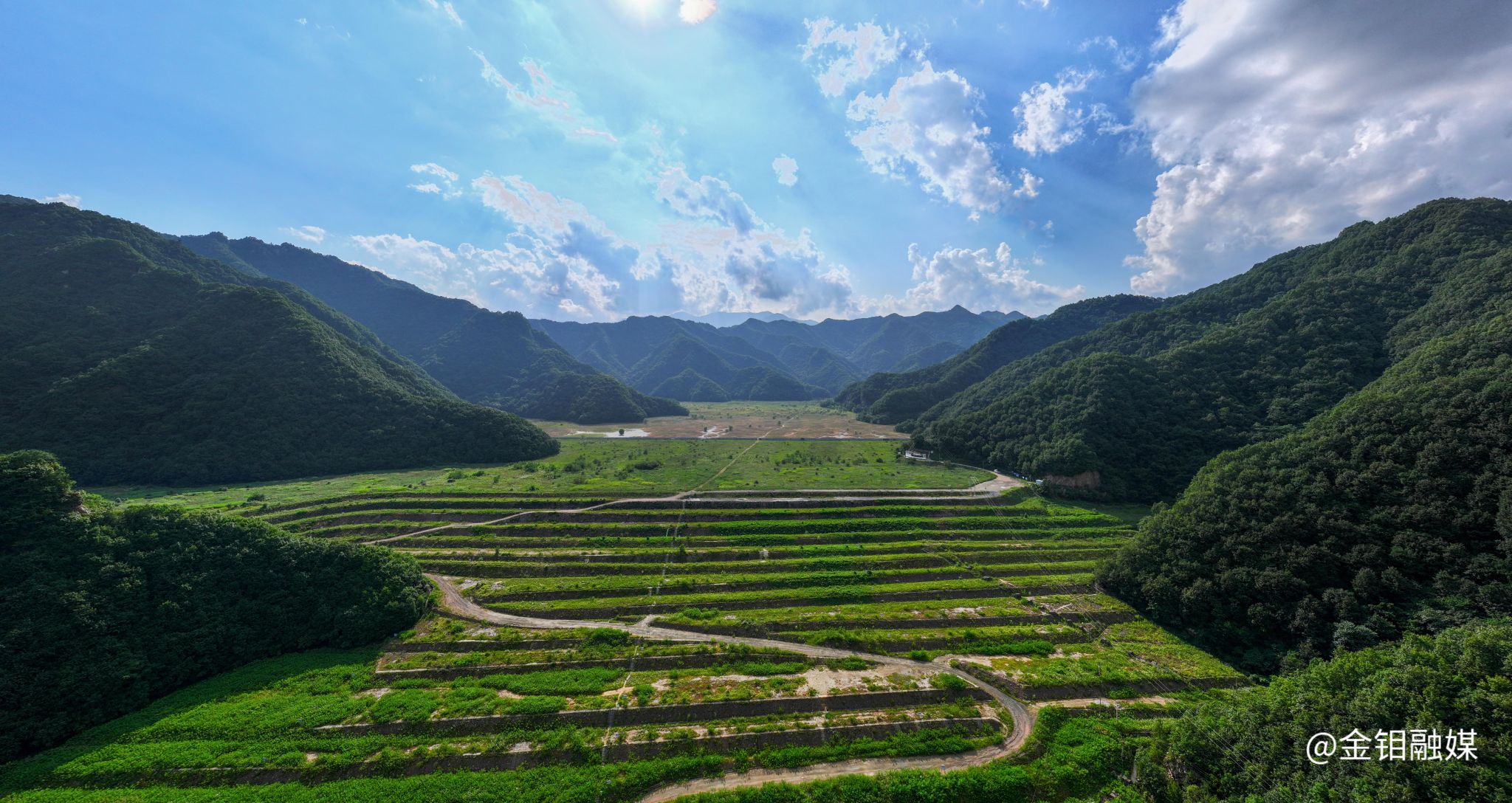 20251226-金钼集团:木子沟尾矿库闭库顺利销号 为陕西矿山治理交出高分答卷 (1).jpg