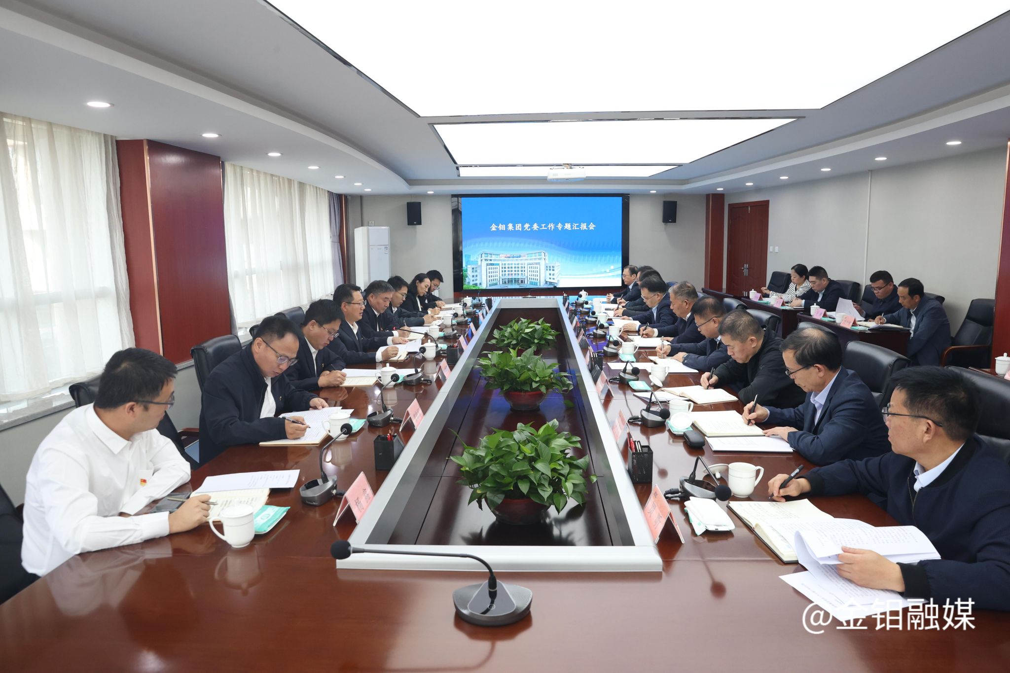 20261019-金钼集团召开党委工作专题汇报会.JPG